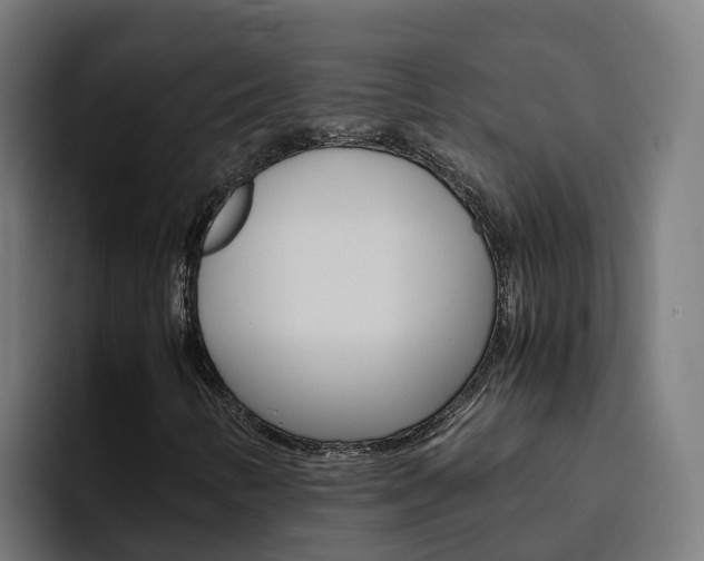 X0000094781346200711160842