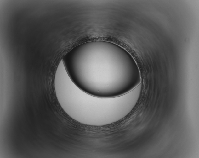 X0000094781348200711160842