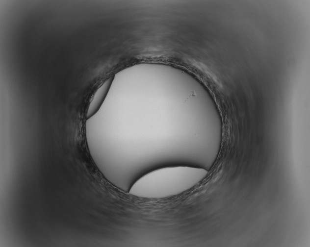 X0000094781350200711160842