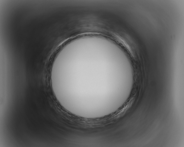 X0000094781352200711160842