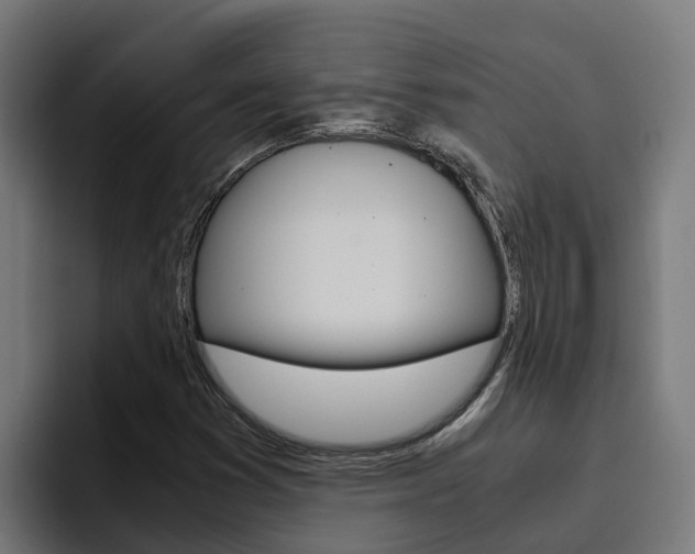 X0000094781353200711160842