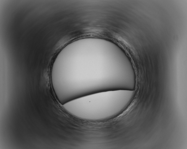X0000094781354200711160842