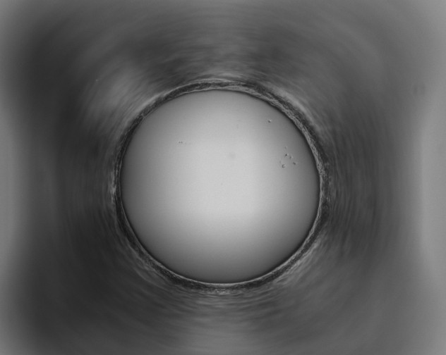 X0000094781355200711160842