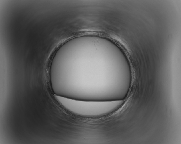 X0000094781357200711160842