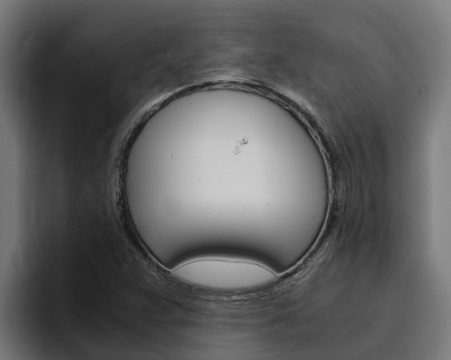 X0000094781359200711160842