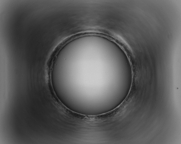 X0000094781360200711160842