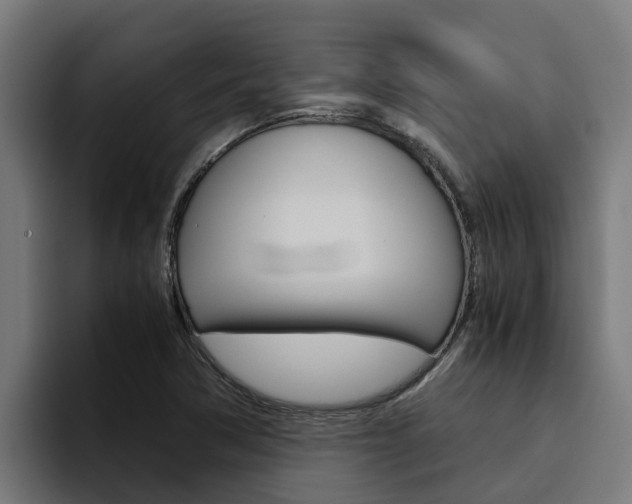 X0000094781362200711160842