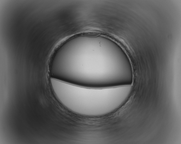 X0000094781363200711160842