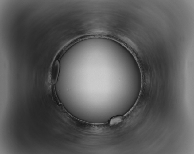 X0000094781364200711160842