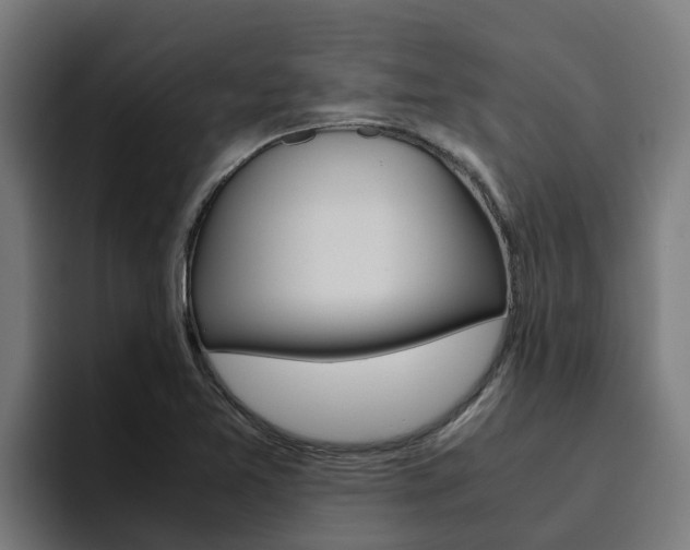 X0000094781365200711160842