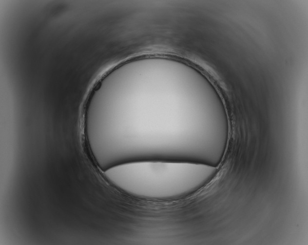 X0000094781366200711160842