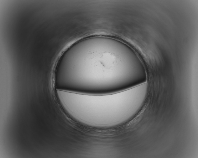 X0000094781367200711160842