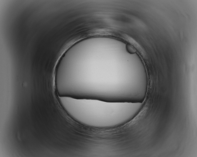 X0000094781370200711160842