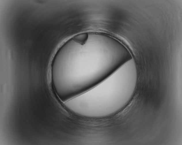 X0000094781371200711160842