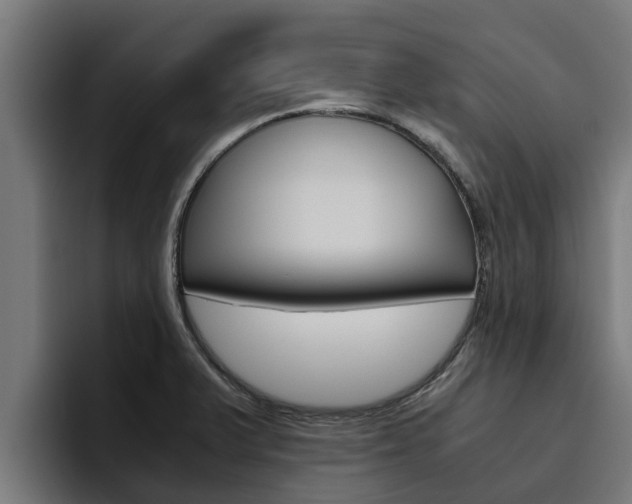 X0000094781375200711160842