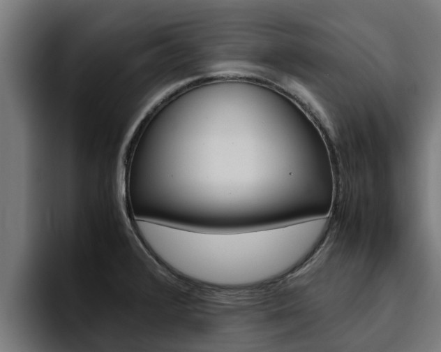 X0000094781376200711160842