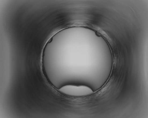 X0000094781378200711160842