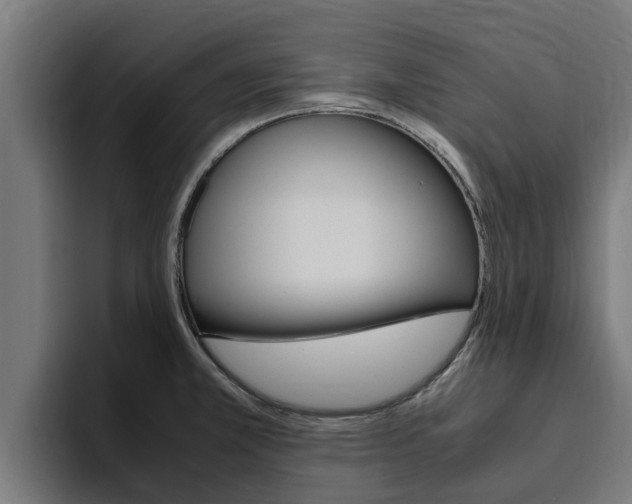 X0000094781381200711160841