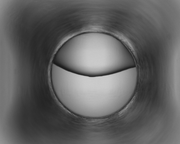 X0000094781382200711160841