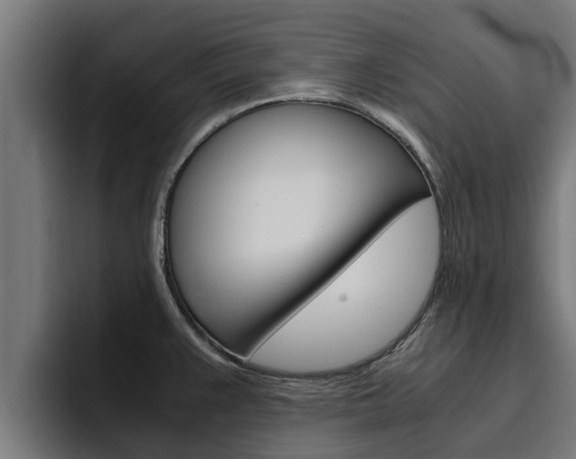 X0000094781383200711160841
