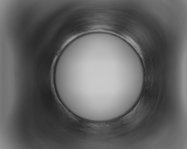 X0000094781384200711160841