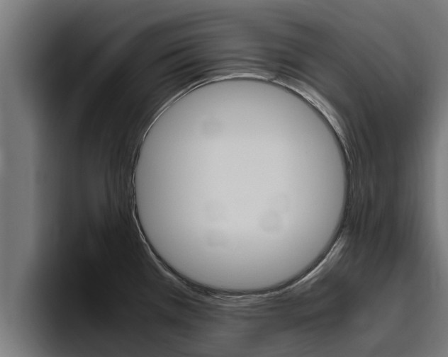 X0000094781385200711160841
