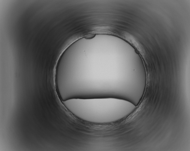 X0000094781386200711160841