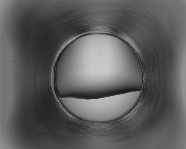 X0000094781387200711160841
