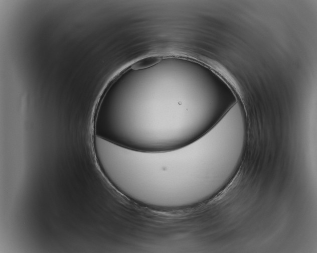 X0000094781388200711160841