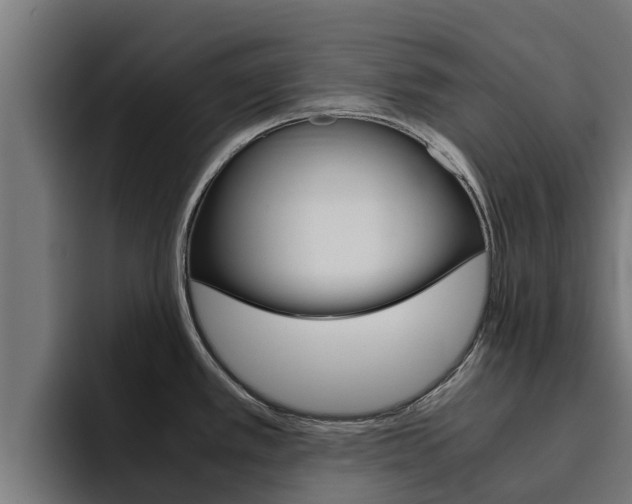 X0000094781389200711160841
