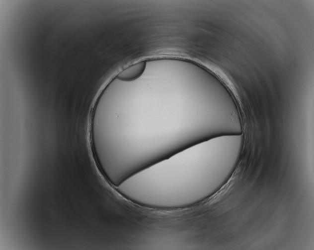 X0000094781390200711160841