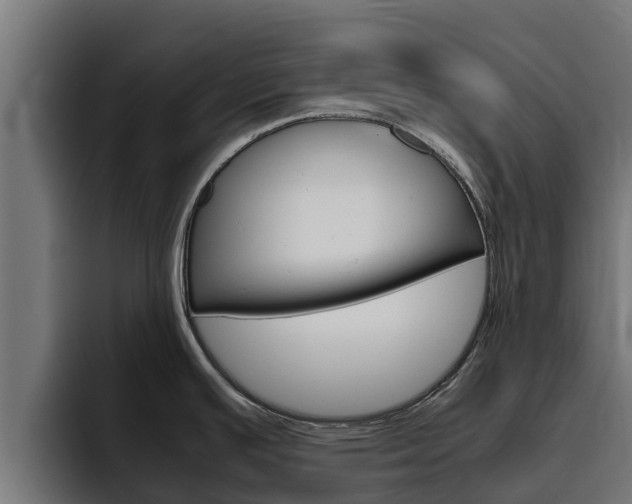 X0000094781391200711160841