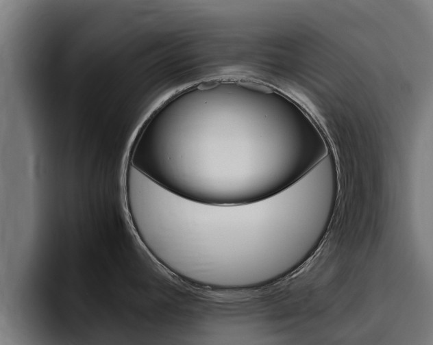 X0000094781392200711160841