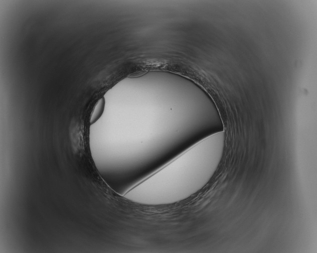 X0000094781394200711160841