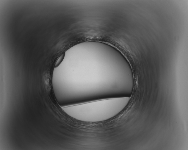 X0000094781396200711160841