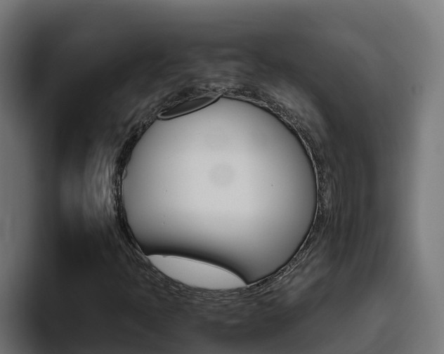 X0000094781397200711160841