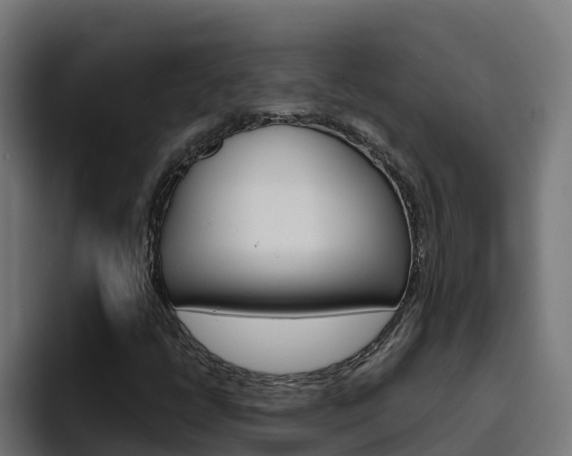 X0000094781398200711160841