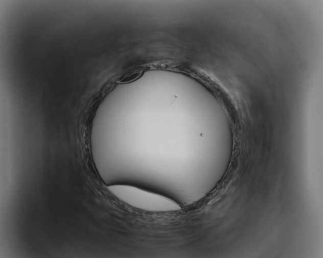 X0000094781399200711160841