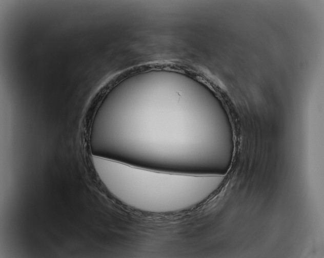 X0000094781400200711160841
