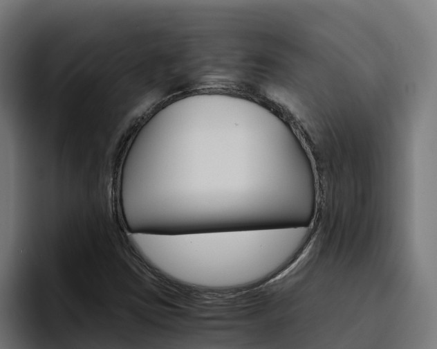 X0000094781403200711160841