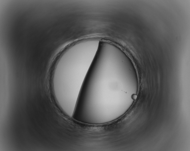 X0000094781406200711160841