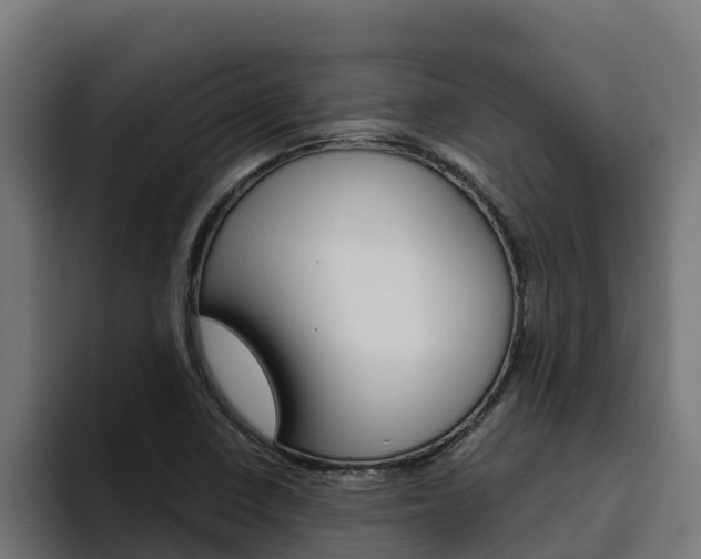X0000094781410200711160841