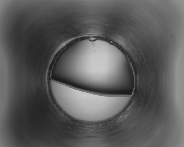 X0000094781412200711160841