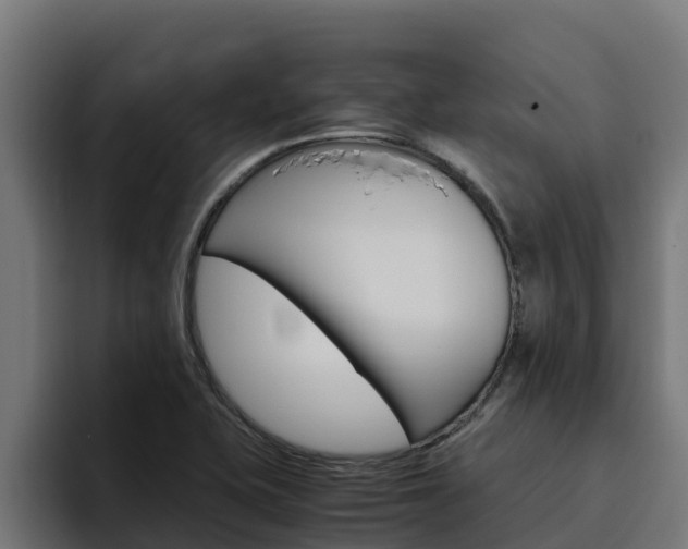 X0000094781415200711160841