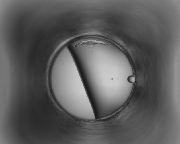 X0000094781416200711160841