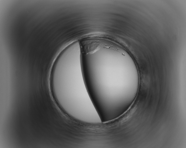 X0000094781418200711160841