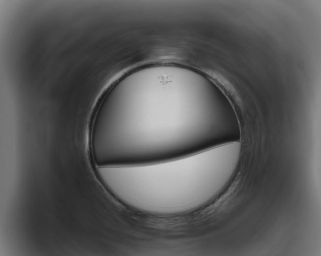 X0000094781420200711160841
