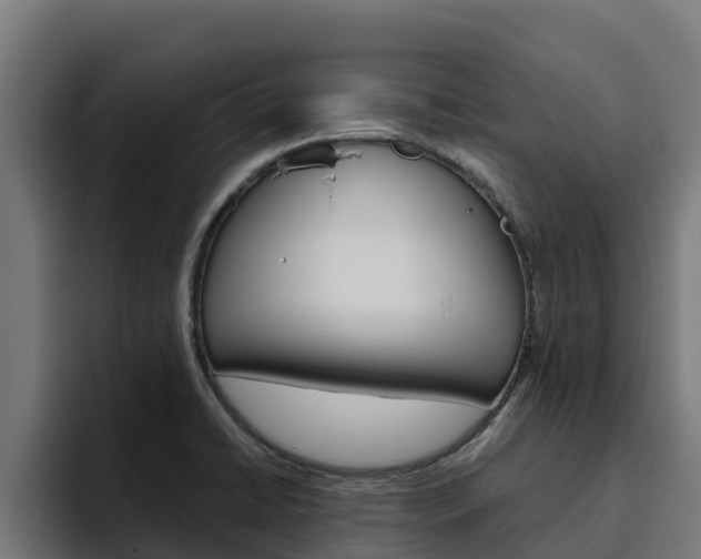 X0000094781422200711160841