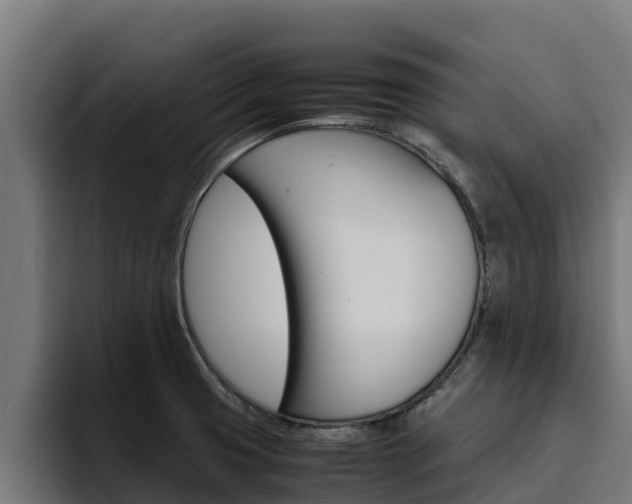 X0000094781425200711160841