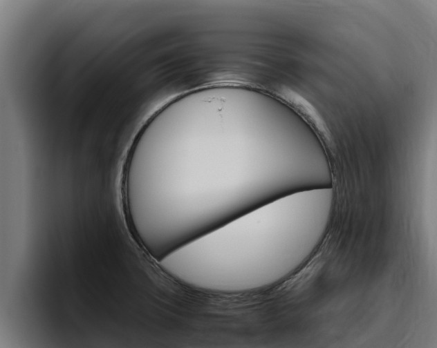 X0000094781427200711160841